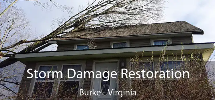 Storm Damage Restoration Burke - Virginia