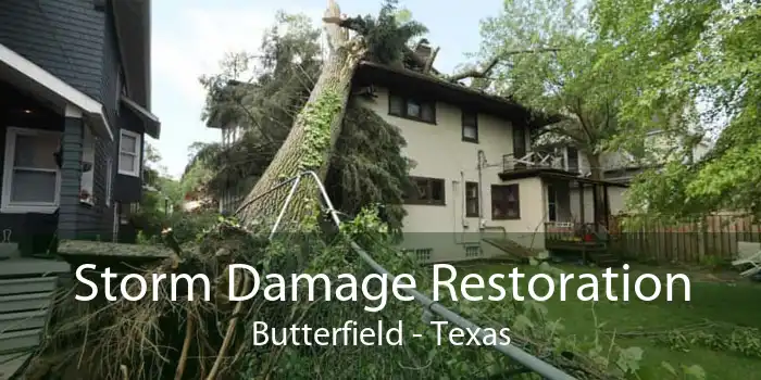 Storm Damage Restoration Butterfield - Texas