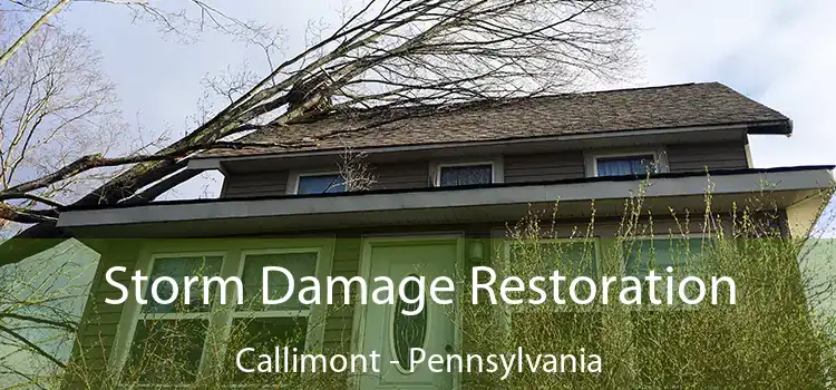 Storm Damage Restoration Callimont - Pennsylvania