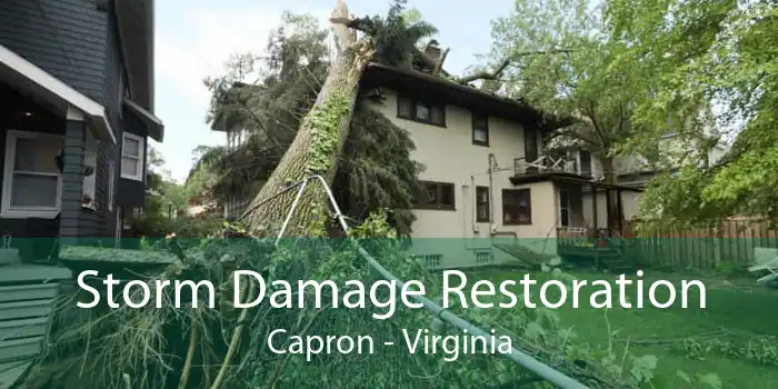 Storm Damage Restoration Capron - Virginia