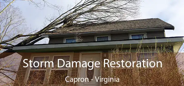 Storm Damage Restoration Capron - Virginia