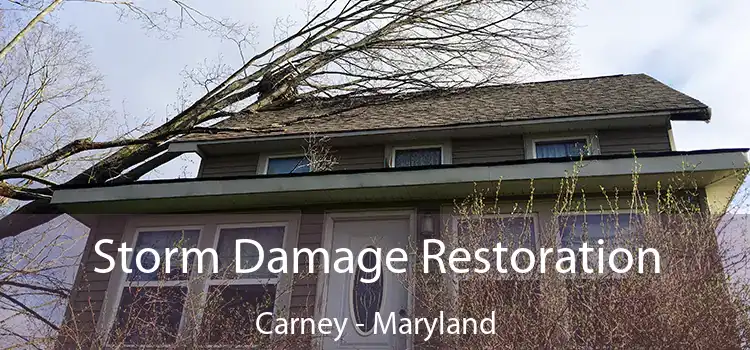 Storm Damage Restoration Carney - Maryland