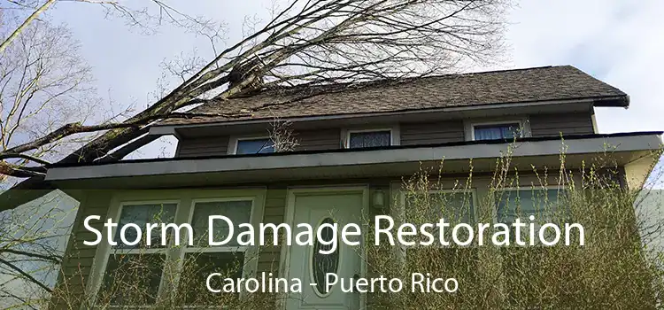 Storm Damage Restoration Carolina - Puerto Rico