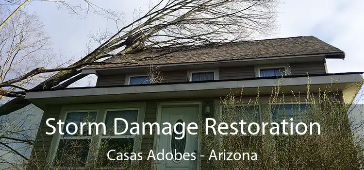 Storm Damage Restoration Casas Adobes - Arizona