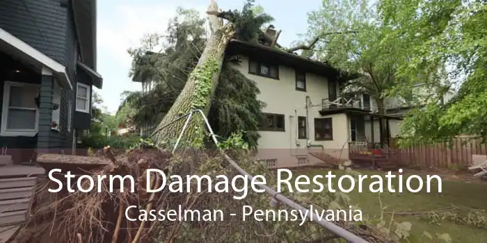 Storm Damage Restoration Casselman - Pennsylvania