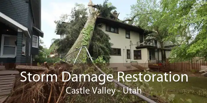 Storm Damage Restoration Castle Valley - Utah