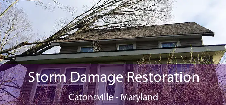 Storm Damage Restoration Catonsville - Maryland