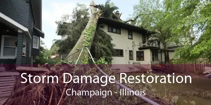 Storm Damage Restoration Champaign - Illinois
