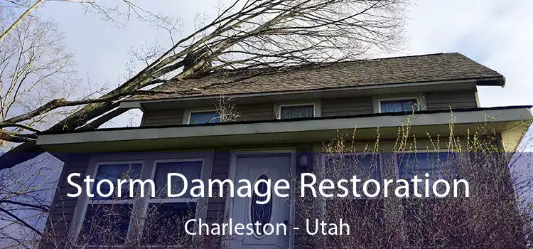 Storm Damage Restoration Charleston - Utah