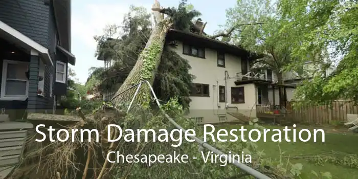 Storm Damage Restoration Chesapeake - Virginia