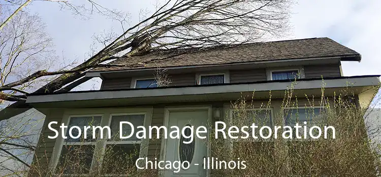 Storm Damage Restoration Chicago - Illinois