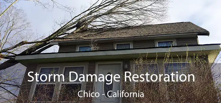 Storm Damage Restoration Chico - California