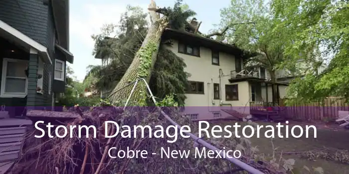 Storm Damage Restoration Cobre - New Mexico