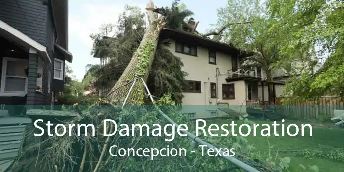 Storm Damage Restoration Concepcion - Texas