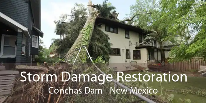 Storm Damage Restoration Conchas Dam - New Mexico
