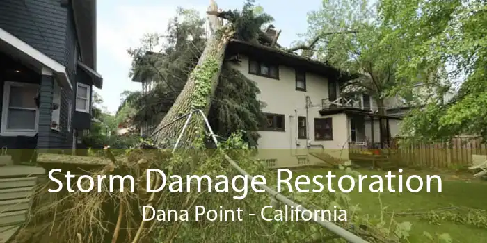 Storm Damage Restoration Dana Point - California