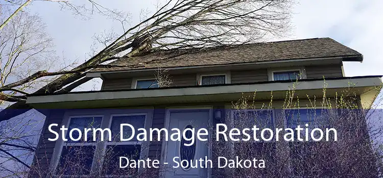 Storm Damage Restoration Dante - South Dakota