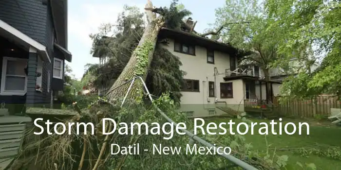 Storm Damage Restoration Datil - New Mexico