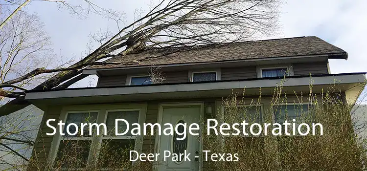 Storm Damage Restoration Deer Park - Texas