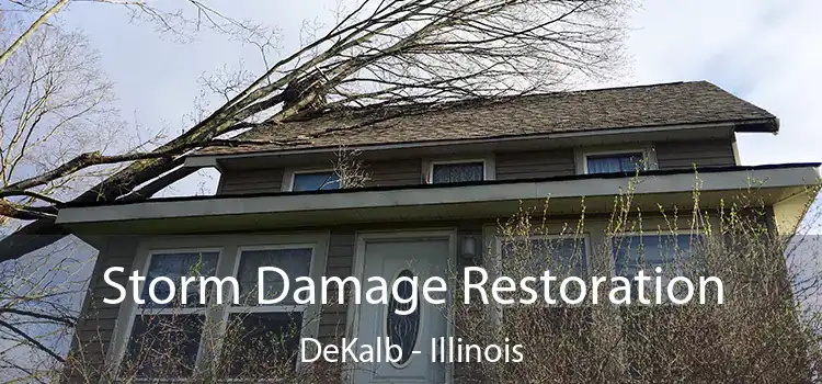 Storm Damage Restoration DeKalb - Illinois