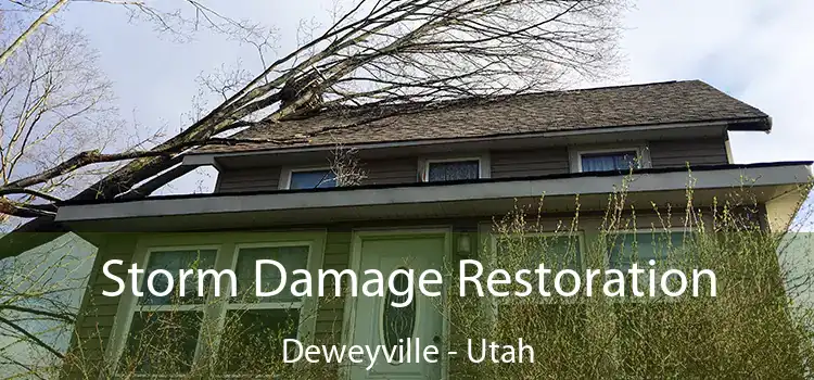 Storm Damage Restoration Deweyville - Utah