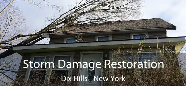 Storm Damage Restoration Dix Hills - New York