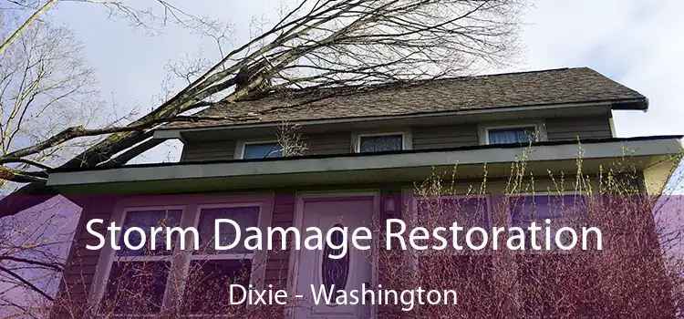 Storm Damage Restoration Dixie - Washington