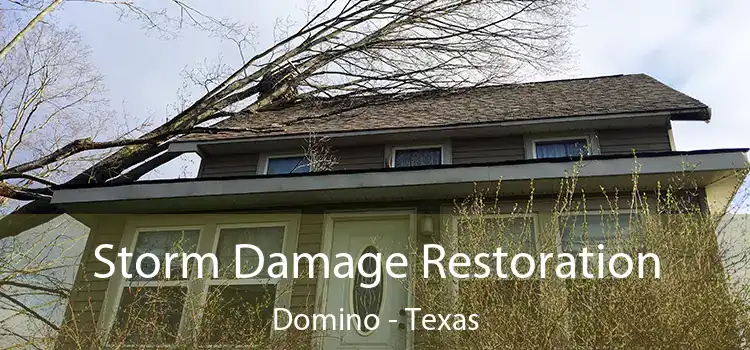 Storm Damage Restoration Domino - Texas