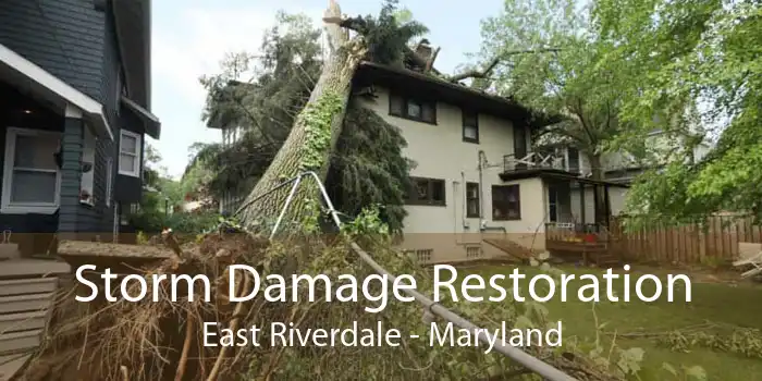 Storm Damage Restoration East Riverdale - Maryland