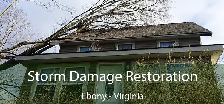 Storm Damage Restoration Ebony - Virginia