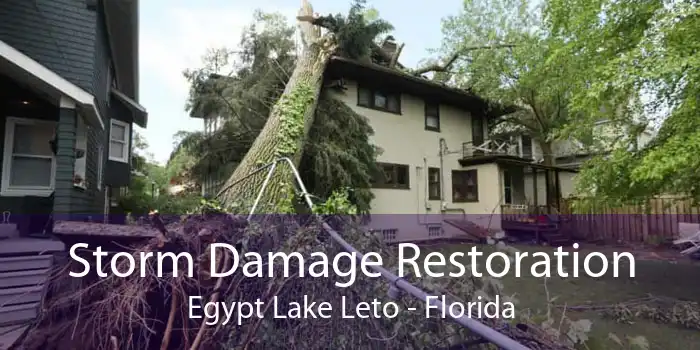 Storm Damage Restoration Egypt Lake Leto - Florida
