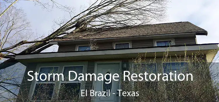 Storm Damage Restoration El Brazil - Texas