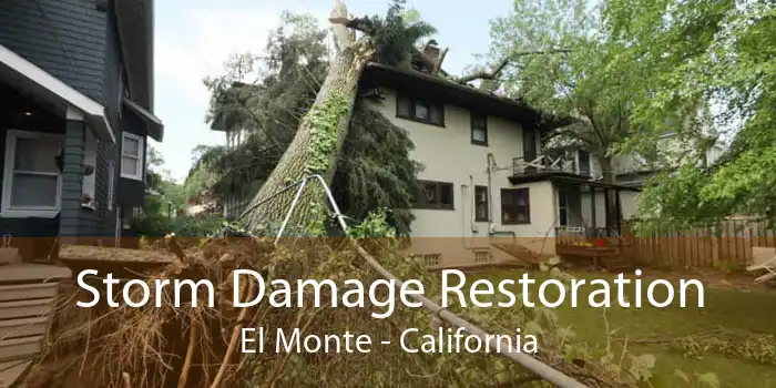 Storm Damage Restoration El Monte - California