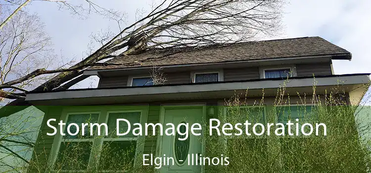 Storm Damage Restoration Elgin - Illinois