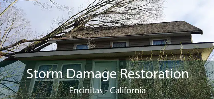 Storm Damage Restoration Encinitas - California