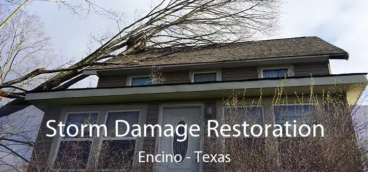 Storm Damage Restoration Encino - Texas