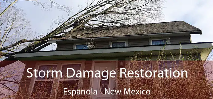 Storm Damage Restoration Espanola - New Mexico