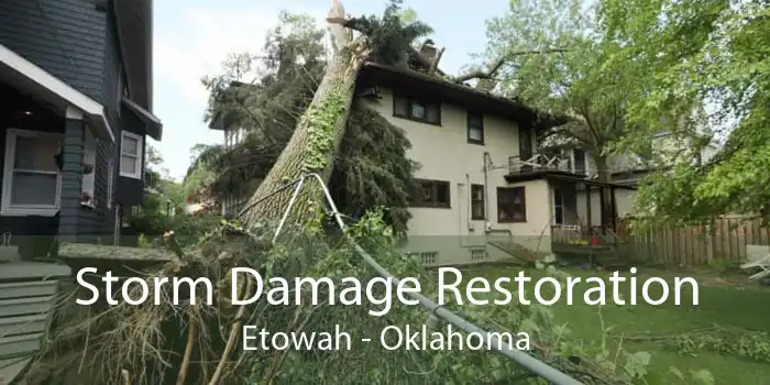 Storm Damage Restoration Etowah - Oklahoma