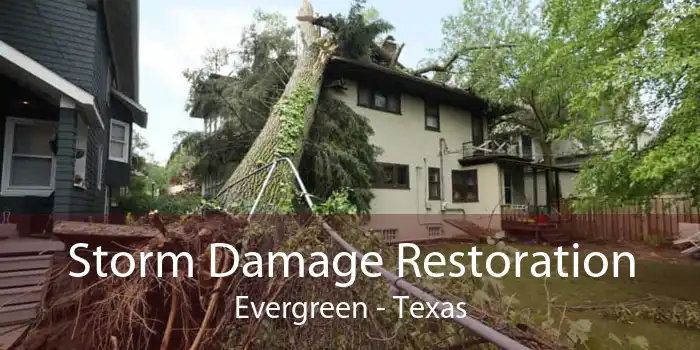Storm Damage Restoration Evergreen - Texas
