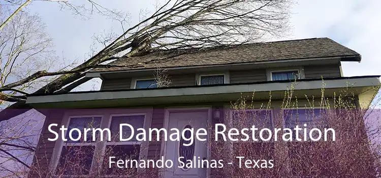 Storm Damage Restoration Fernando Salinas - Texas