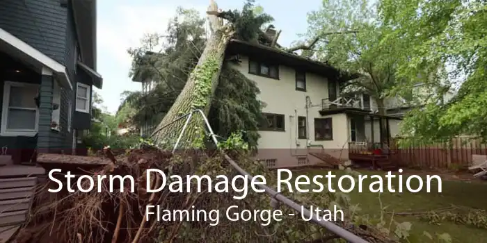 Storm Damage Restoration Flaming Gorge - Utah