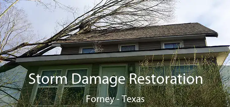 Storm Damage Restoration Forney - Texas