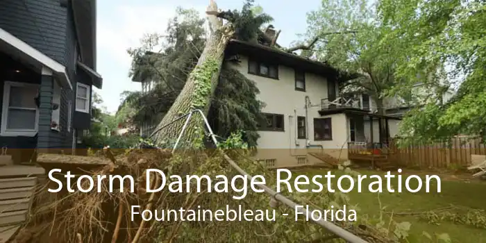 Storm Damage Restoration Fountainebleau - Florida