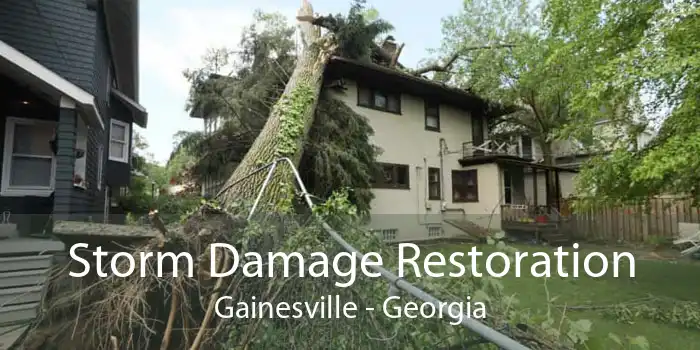 Storm Damage Restoration Gainesville - Georgia