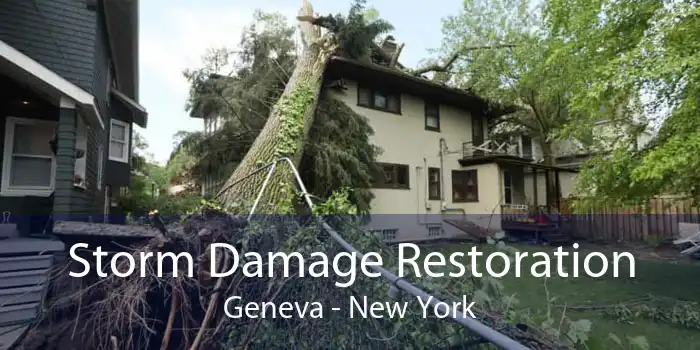 Storm Damage Restoration Geneva - New York