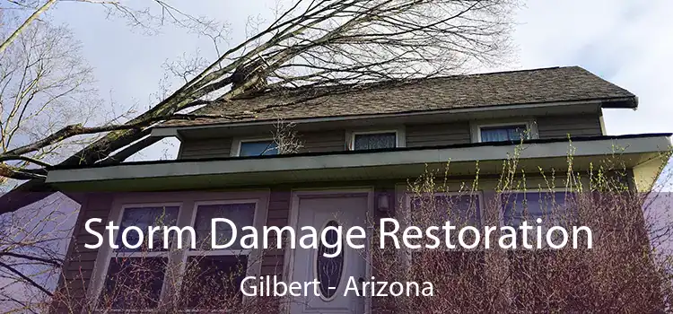 Storm Damage Restoration Gilbert - Arizona