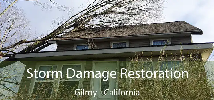 Storm Damage Restoration Gilroy - California