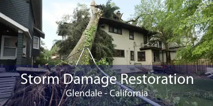 Storm Damage Restoration Glendale - California