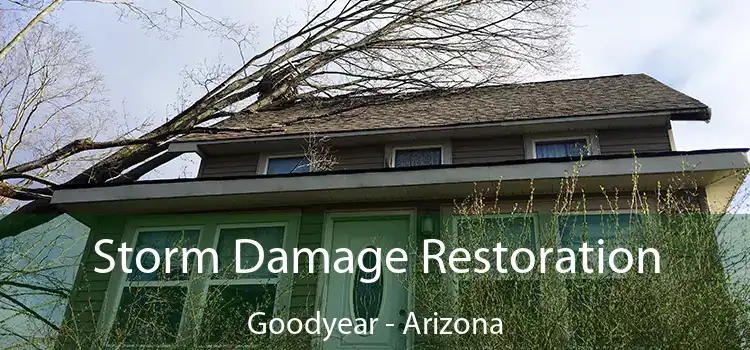 Storm Damage Restoration Goodyear - Arizona