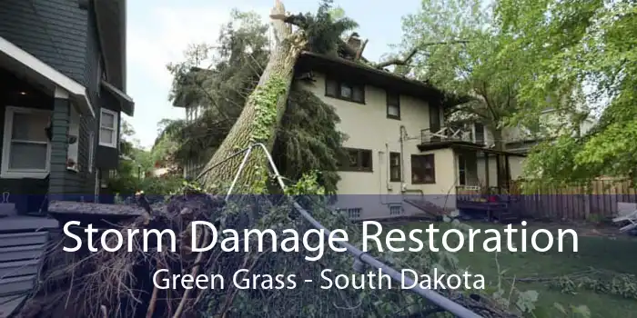 Storm Damage Restoration Green Grass - South Dakota